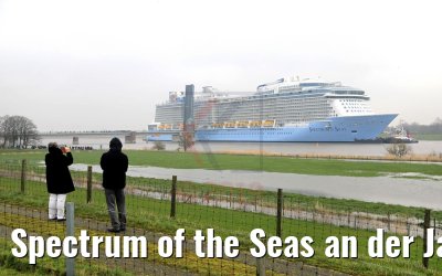 Spectrum of the Seas an der Jann-Berghaus-Brücke in Leer 20.03.2019