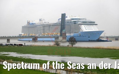 Spectrum of the Seas an der Jann-Berghaus-Brücke in Leer 20.03.2019