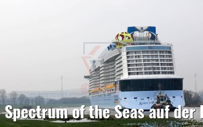 Spectrum of the Seas auf der Ems 20.03.2019