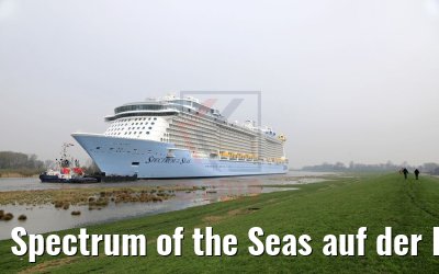 Spectrum of the Seas auf der Ems 20.03.2019