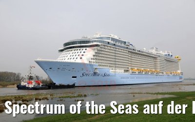 Spectrum of the Seas auf der Ems 20.03.2019