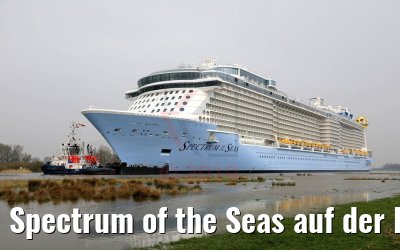 Spectrum of the Seas auf der Ems 20.03.2019