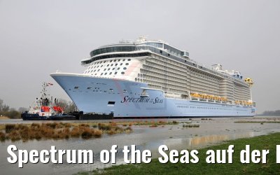 Spectrum of the Seas auf der Ems 20.03.2019