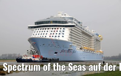 Spectrum of the Seas auf der Ems 20.03.2019