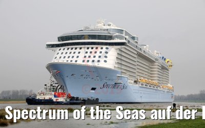 Spectrum of the Seas auf der Ems 20.03.2019