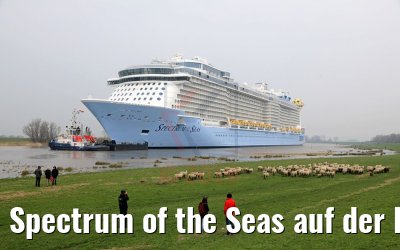 Spectrum of the Seas auf der Ems 20.03.2019