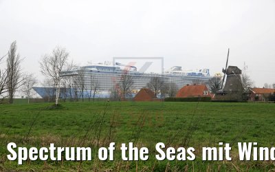 Spectrum of the Seas mit Windmühle an der Ems 20.03.2019