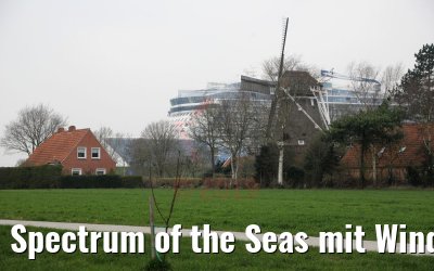 Spectrum of the Seas mit Windmühle an der Ems 20.03.2019