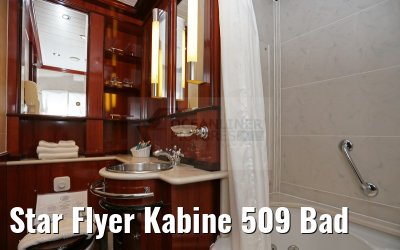Star Flyer Kabine 509 Bad