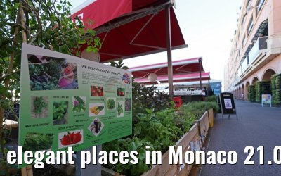 elegant places in Monaco 21.09.2015