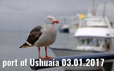 port of Ushuaia 03.01.2017