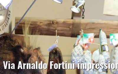 Via Arnaldo Fortini impressions, Assisi