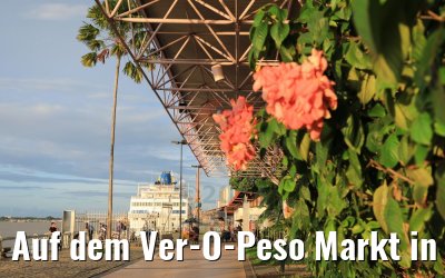 Auf dem Ver-O-Peso Markt in Belem, Brasilien 01.02.2018