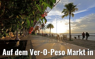 Auf dem Ver-O-Peso Markt in Belem, Brasilien 01.02.2018