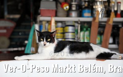 Ver-O-Peso Markt Belém, Brasilien 01.02.2018
