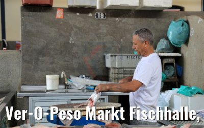 Ver-O-Peso Markt Fischhalle, Belém, Brasilien 01.02.2018