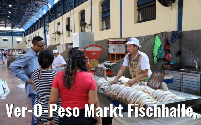 Ver-O-Peso Markt Fischhalle, Belém, Brasilien 01.02.2018