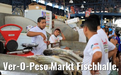 Ver-O-Peso Markt Fischhalle, Belém, Brasilien 01.02.2018
