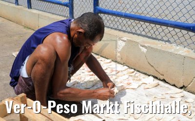 Ver-O-Peso Markt Fischhalle, Belém, Brasilien 01.02.2018