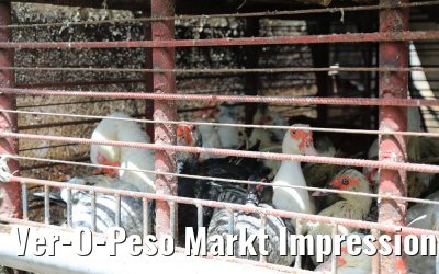 Ver-O-Peso Markt Impressionen, Belém, Brasilien 01.02.2018