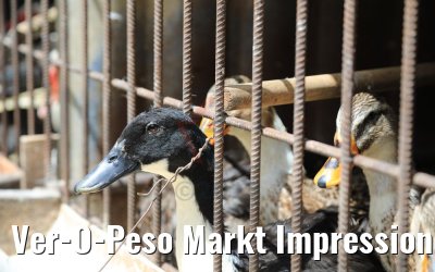 Ver-O-Peso Markt Impressionen, Belém, Brasilien 01.02.2018