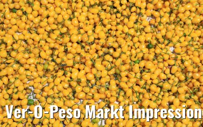 Ver-O-Peso Markt Impressionen, Belém, Brasilien 01.02.2018