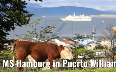 MS Hamburg in Puerto Williams, Chile 01.02.2020