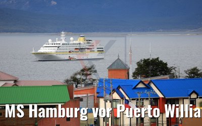 MS Hamburg vor Puerto Williams 01.02.2020