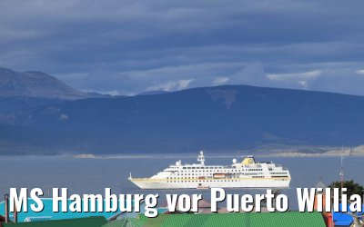 MS Hamburg vor Puerto Williams, Chile 01.02.2020