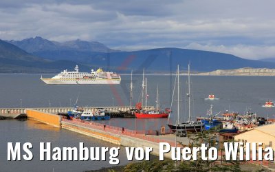 MS Hamburg vor Puerto Williams port 01.02.2020