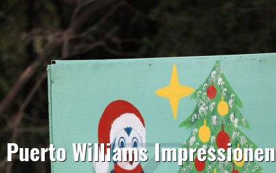 Puerto Williams Impressionen 01.02.2020