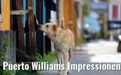 Puerto Williams Impressionen 01.02.2020