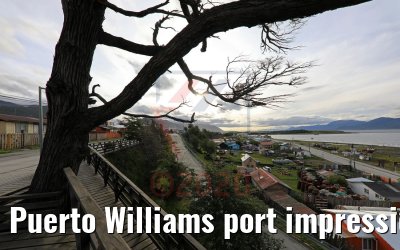 Puerto Williams port impressions 01.02.2020