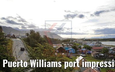 Puerto Williams port impressions 01.02.2020