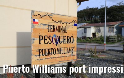 Puerto Williams port impressions 01.02.2020