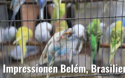 Impressionen Belém, Brasilien 02.02.2018