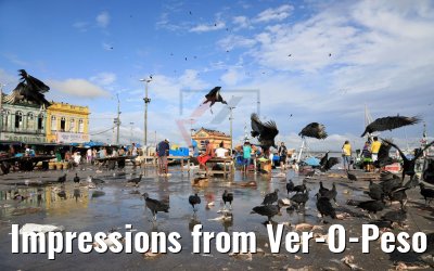 Impressions from Ver-O-Peso Market Belém, Brazil 02.02.2018