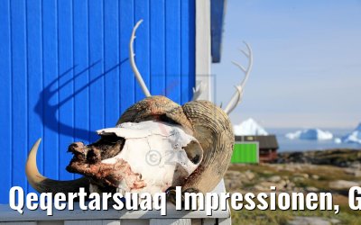 Qeqertarsuaq Impressionen, Grönland
