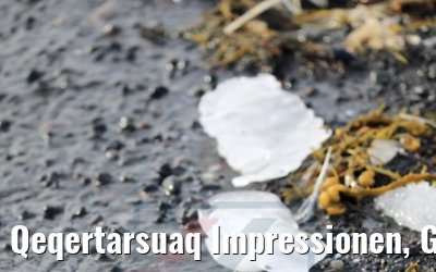 Qeqertarsuaq Impressionen, Grönland