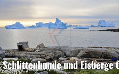 Schlittenhunde und Eisberge Qeqertarsuaq, Grönland