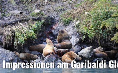 Impressionen am Garibaldi Gletscher, Chile 02.02.2020