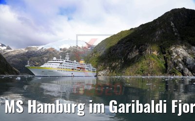 MS Hamburg im Garibaldi Fjord 02.02.2020