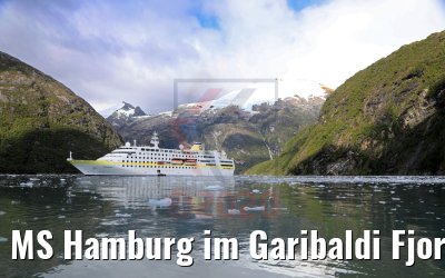MS Hamburg im Garibaldi Fjord 02.02.2020