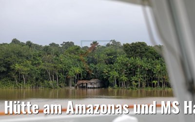 Hütte am Amazonas und MS Hamburg 03.02.2018