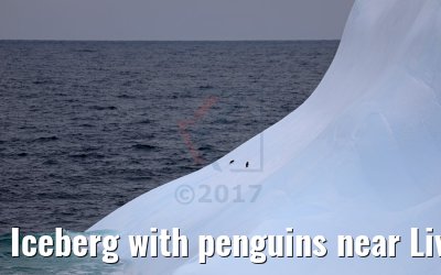 Iceberg with penguins near Livingston Island Antarctica 06.01.2017