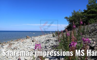 Saaremaa impressions MS Hamburg cruise 10.07.2018