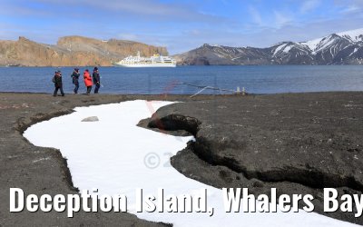 Deception Island, Whalers Bay, MS Hamburg 07.01.2017