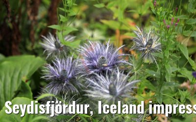 Seydisfjördur, Iceland impressions 20.08.2017