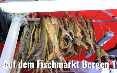 Auf dem Fischmarkt Bergen 16.07.2019
