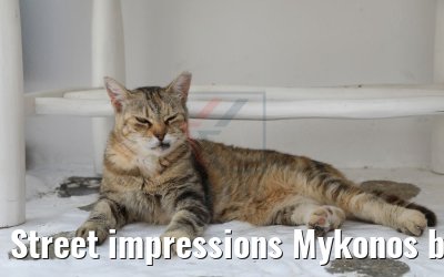 Street impressions Mykonos beautiful Old Town 26.07.2018